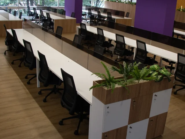 Grupo Bicentenario — proyecto AMPLEX