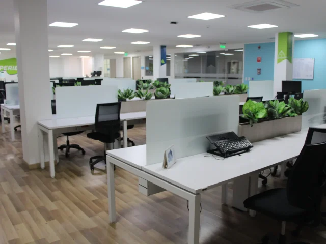 Nexa BPO — proyecto AMPLEX