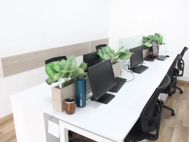 Nexa BPO — proyecto AMPLEX