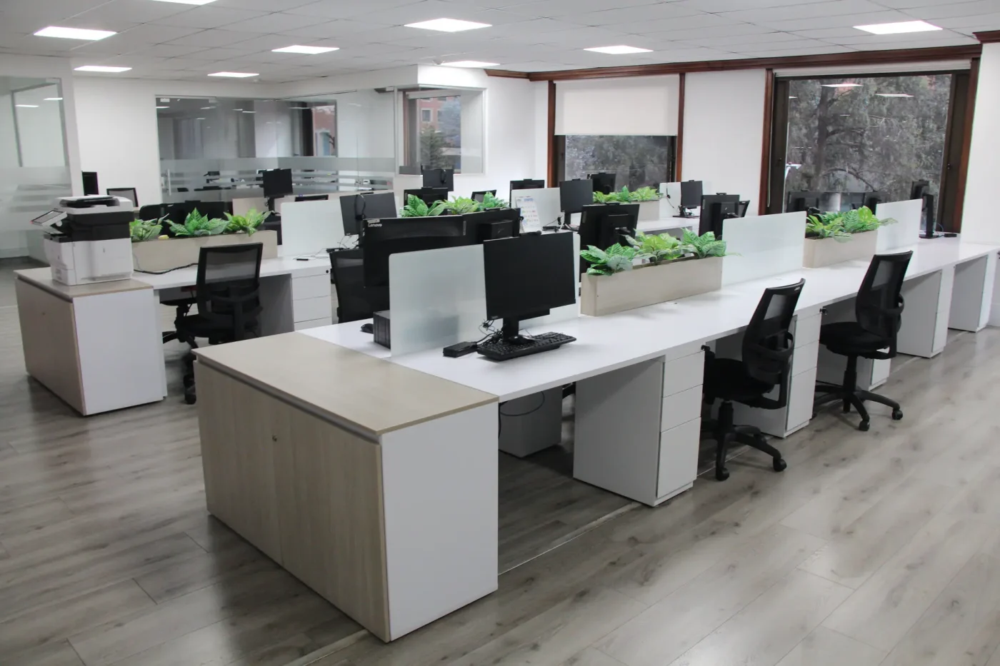 Protección — proyecto AMPLEX